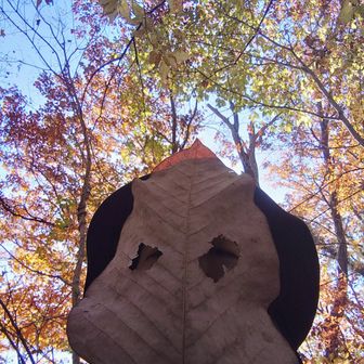 二次利用♡
でも、なんだか変態が現れたみたいでイヤ〰️！！
もうやらない🫣