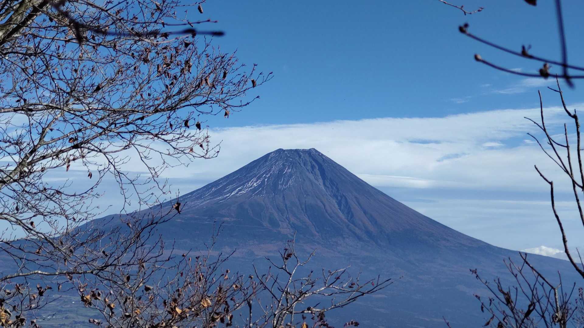 麓登山口-毛無山 往復コースの写真