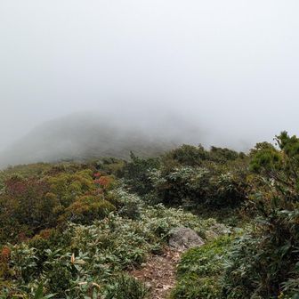 あれあれ、またガスガス