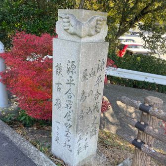 あっ😀！もう読めるよ〜米って文字！メートルと読みます😄ヤマッパーのからちゃんさんが教えてくれました😆ありがとうございます♪！