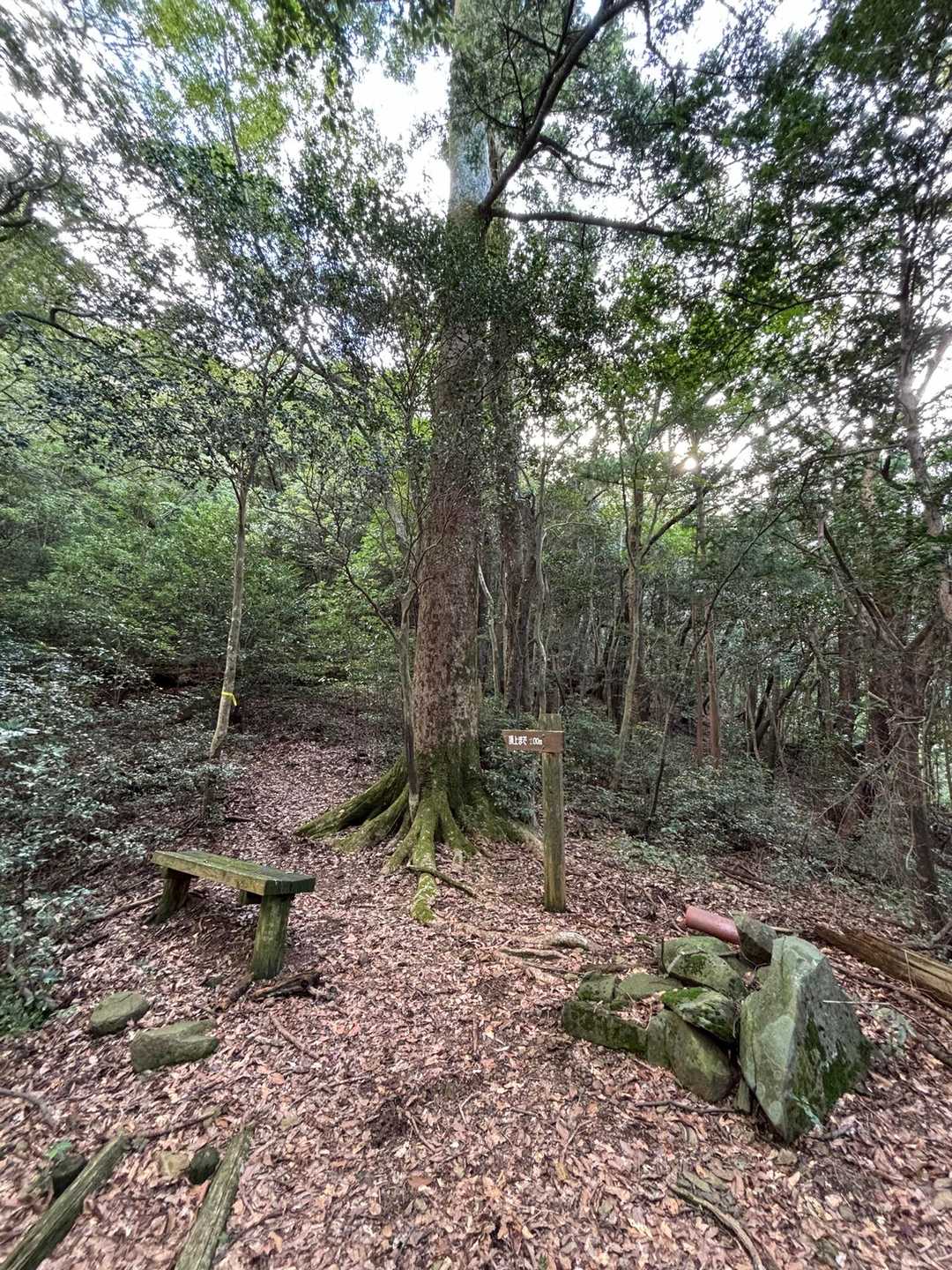 御岳登山口-御岳 往復コースの写真