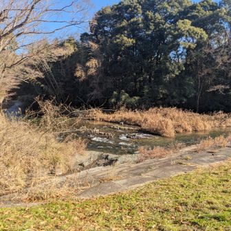 川の音が心地よい