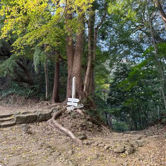 右の裏参道で京急へ行き始めるが、こんぴら山に軌跡があったので寄ってみます