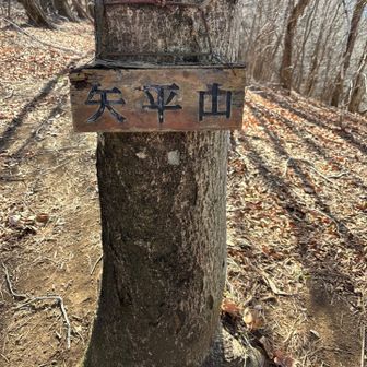 矢平山　やだいらやま
に到着