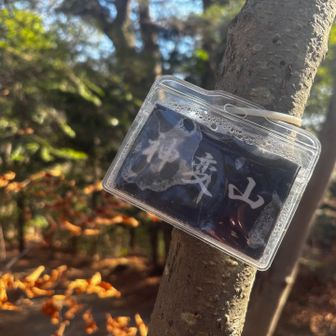 神変山(グレーピーク)