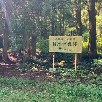 開けたところが登山口