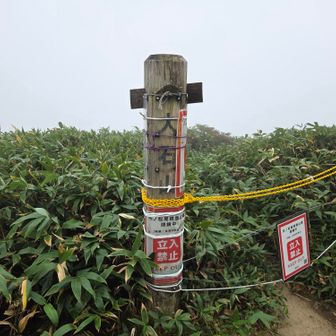 ⑱大石山