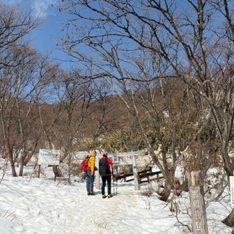 定番鳥居⛩️は半分埋まってた