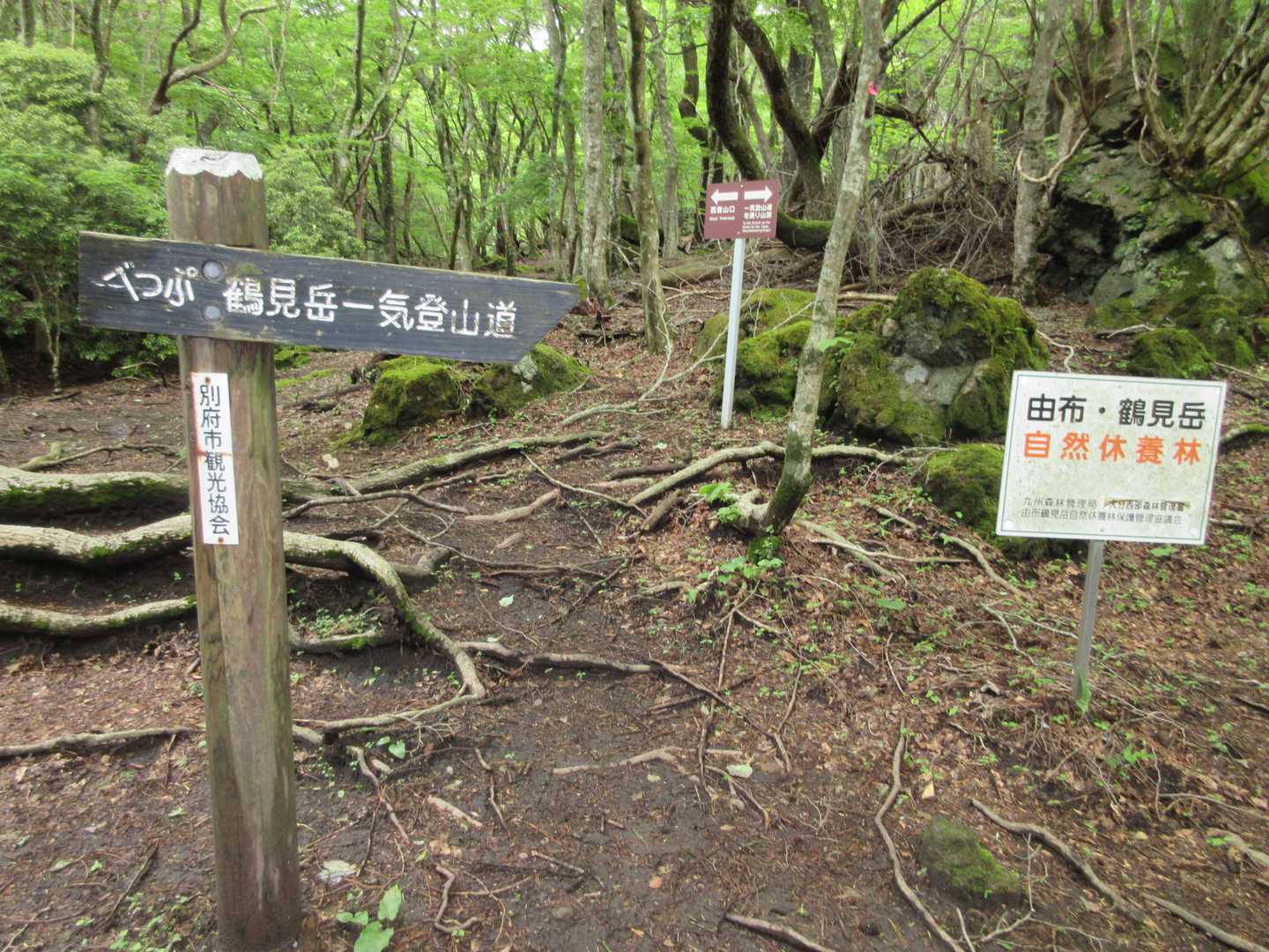 ロープウェイ登山口-火男火売神社-鶴見岳-鶴見山上駅 往復コースの写真