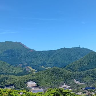 左端の国見岳、上の方がまだらのピンクに。
もう少し先に、ミヤマキリシマ満開になるそうです。