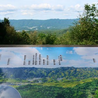 月ヶ瀬の梅見物の後は、毎年はさめず醤油を買いに寄る所です。