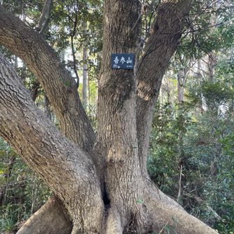 標高53m。五三なので、やはり語呂合わせかも。