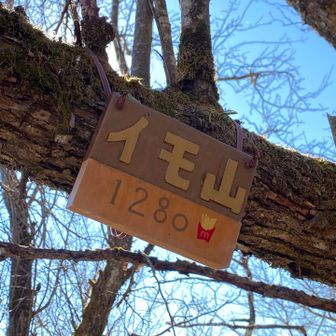 カワイイ山頂標識