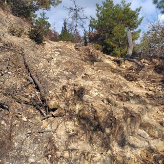 けっこう険しいぞ⚠️