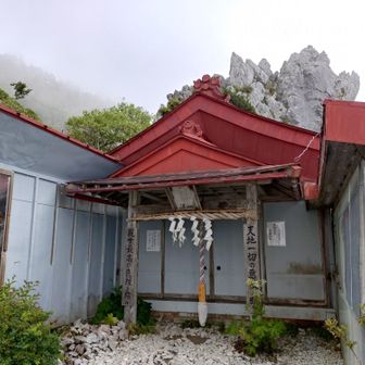 現世最高！つおい