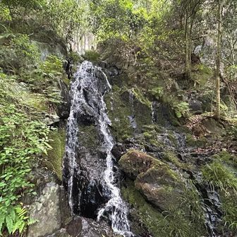 最後に大文字山の山頂を経由して鹿ヶ谷の楼門の滝😌