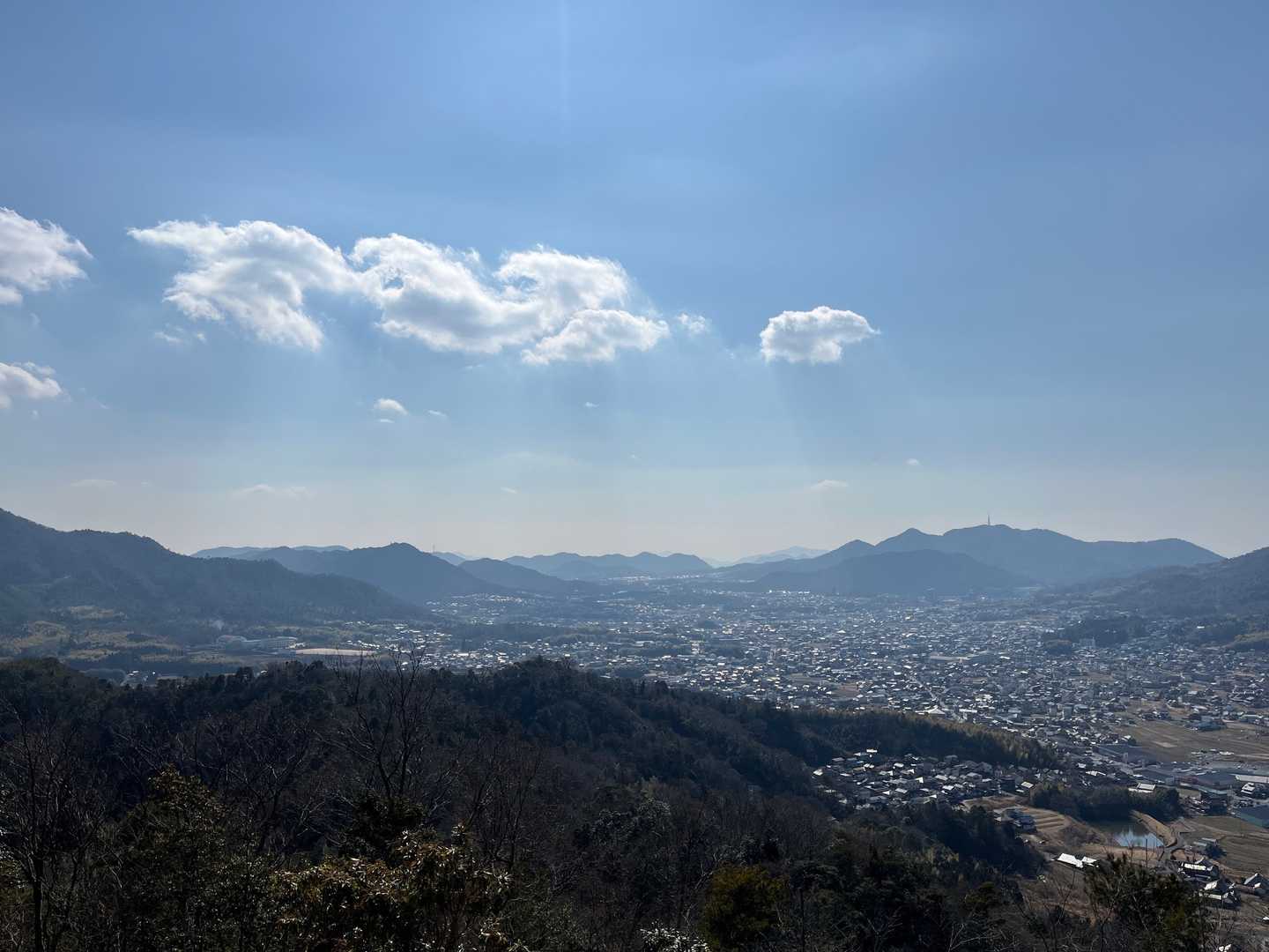 私も子どもに「虎になれ」と言い続けました。今では二人とも阪神ファン。嬉しいです。
私より虎党かも。

「虎になれ」と言われた3人は熊みたいです。