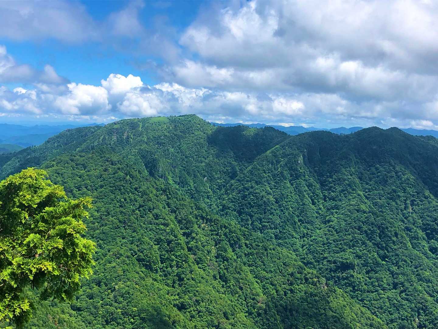 その2✨

山上ヶ岳方面⛰️