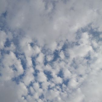 テラ