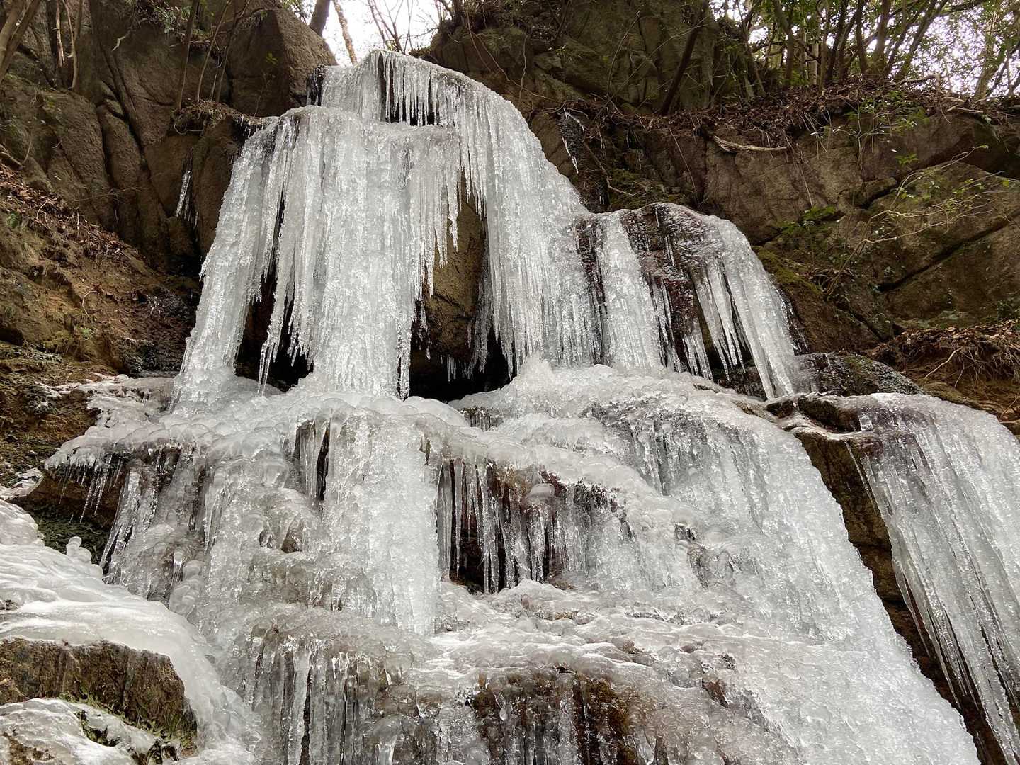 見納めです
気温は1〜2度