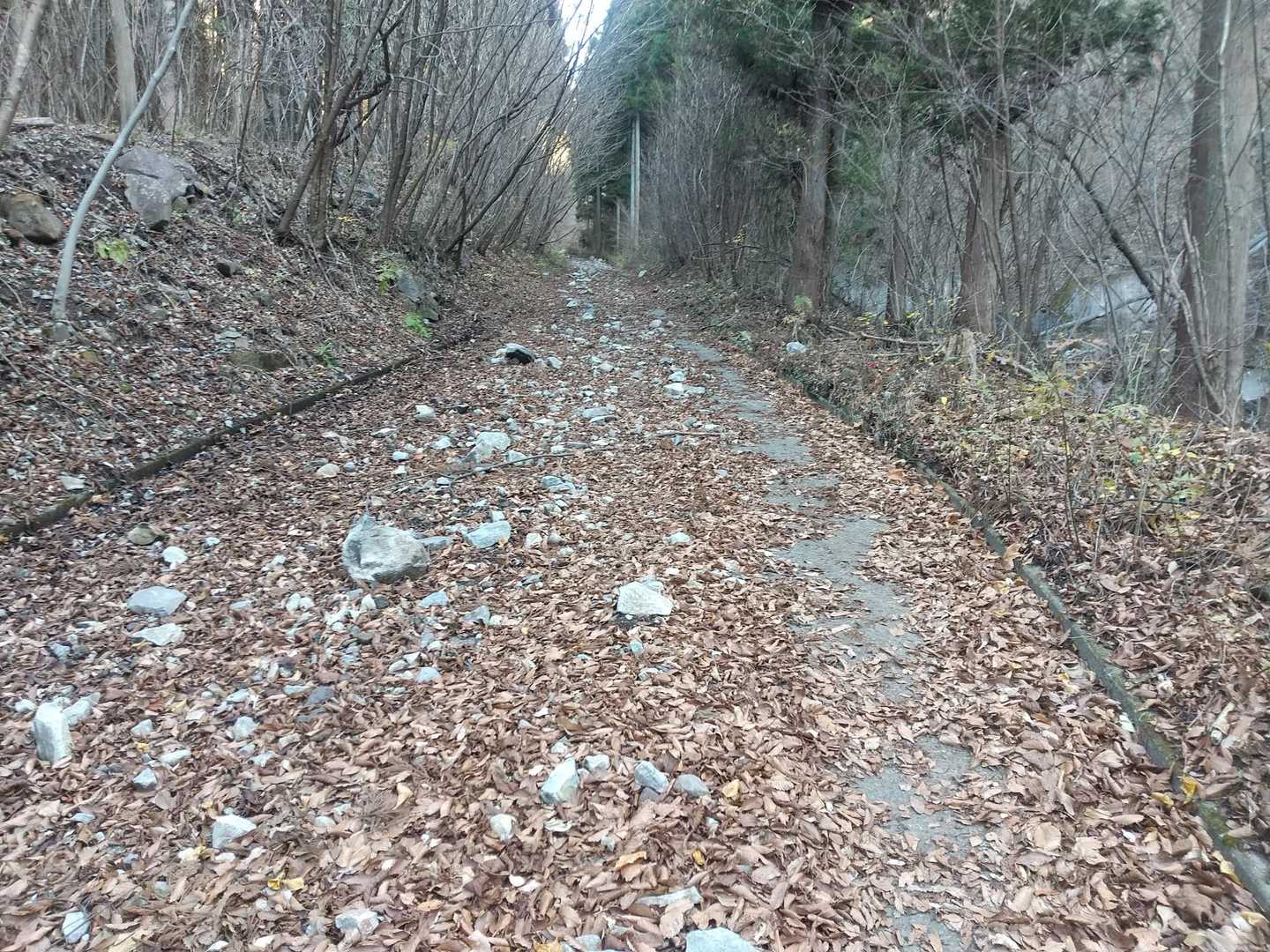 通行止の先も舗装された林道は暫く続きますが、土砂が流れた跡が
