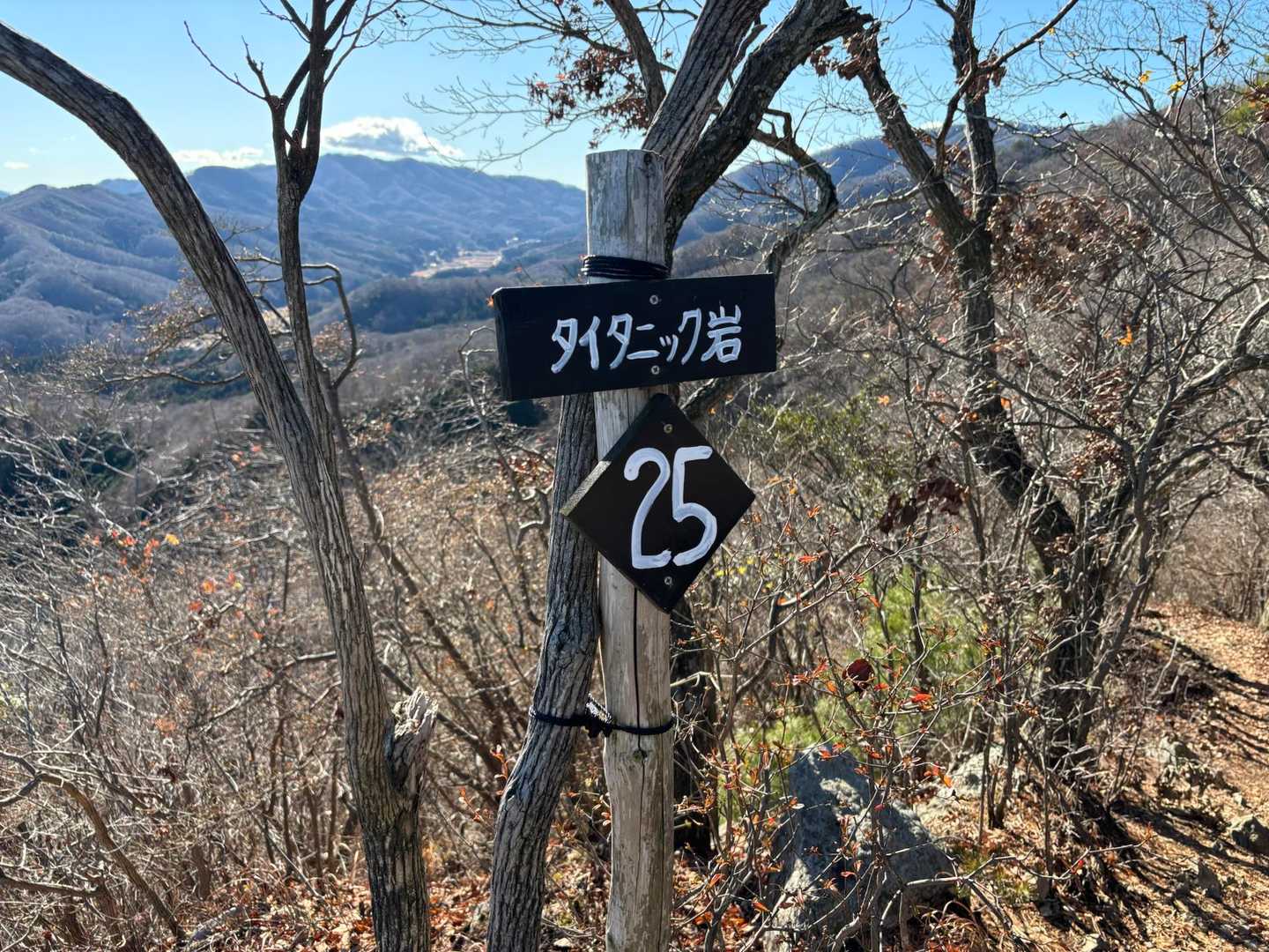 着きました！