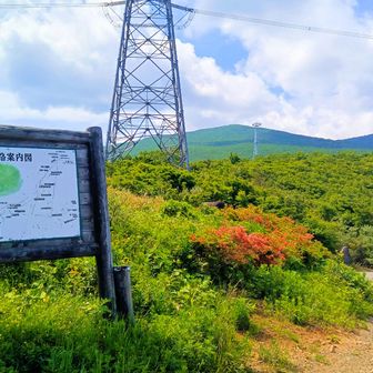 先月登った山形神室岳と同じ駐車場から今回は南側に向けて出発