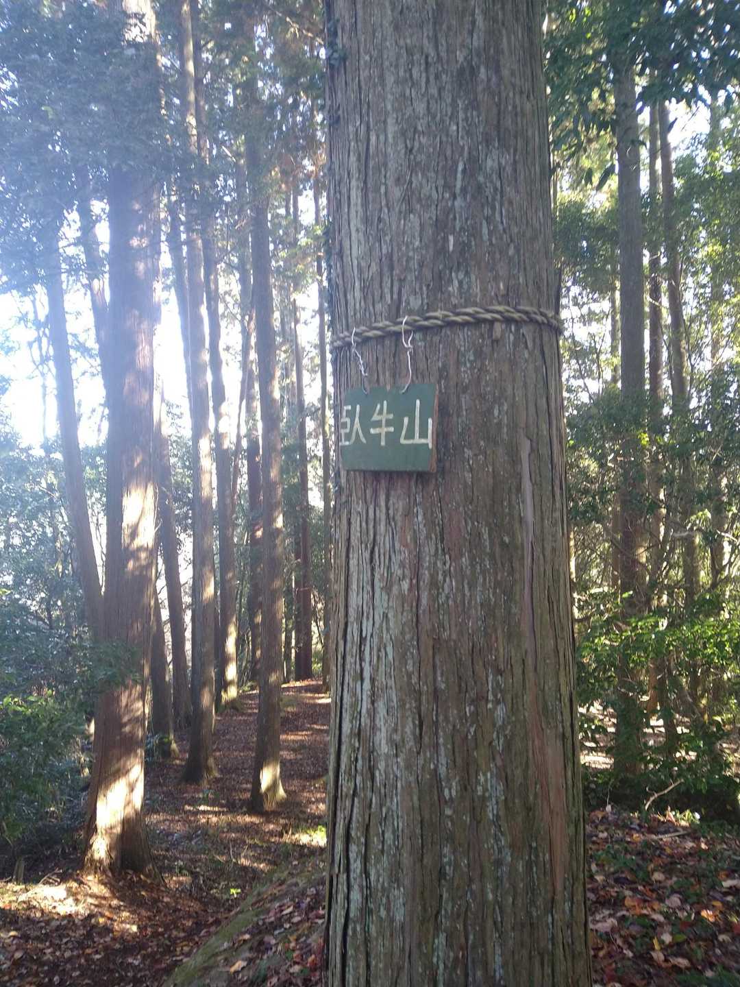 臥牛山-大松山つり橋 往復コースの写真