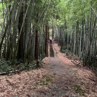 古墳の路を行く