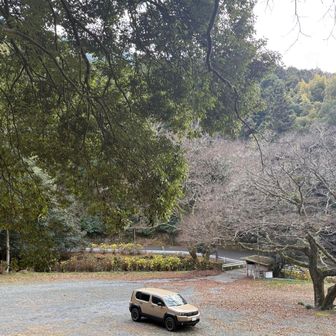 スタート時もゴール時もここの駐車場すっからかん
おつかれ山でした⛰️