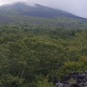 すぐでした。
第2噴出口跡から山頂方面を見上げる。よく見ると第1噴出口跡も、コマクサだらけだった砂礫地帯も。ただあのてっぺんはおそらく山頂ではありません。
