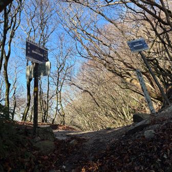この分岐から大洞の頭へ下りましたが、登山路が酷くて、途中で引き返して来ました。