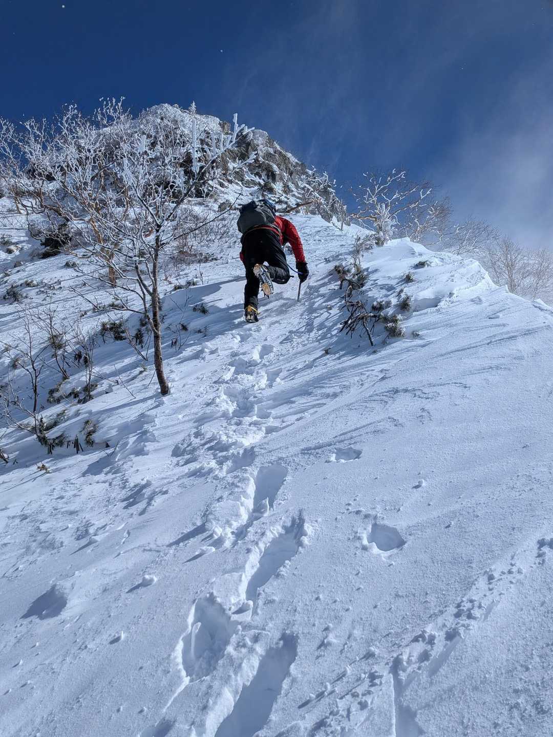 霞沢岳 西尾根🌀 / まりの登山データ | YAMAP / ヤマップ