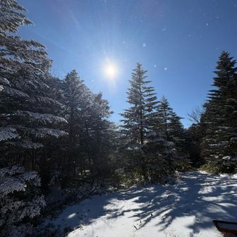 いい天気でずっといたいけど、風が出てきた🌪️