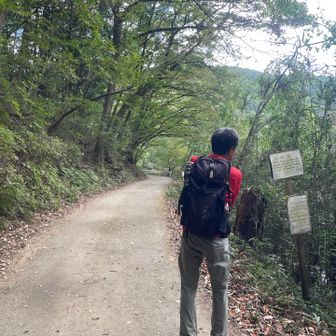 一旦舗装路へ