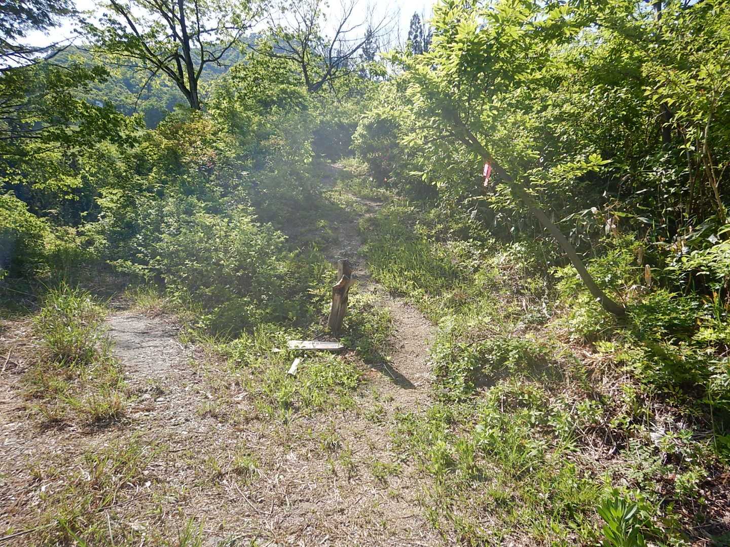 林道終わり