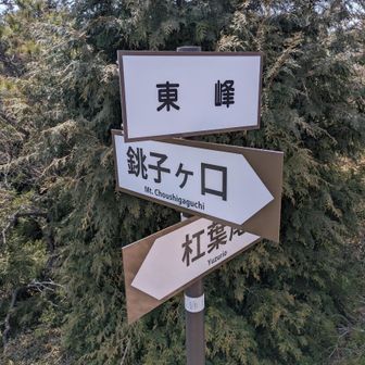 喘いで登って東峰