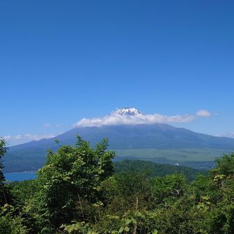 山中湖と富士山