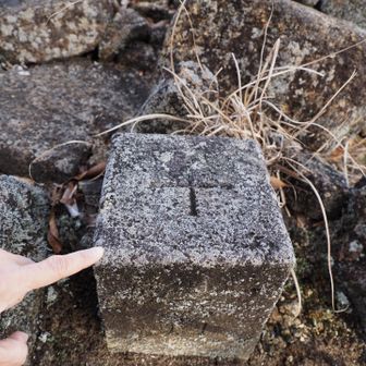 一等三角点あった👆🏻