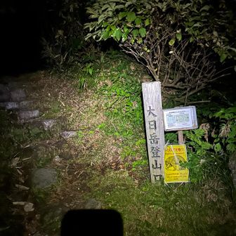 だーれもいない。そりゃそうだけど。