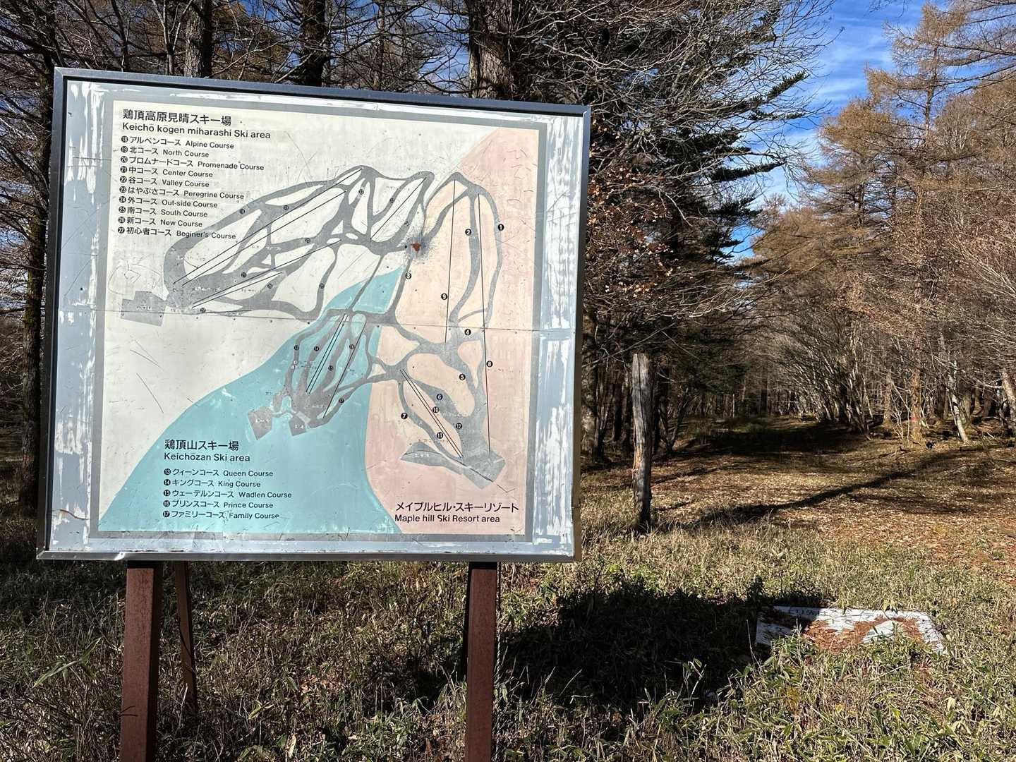 登山道は、エーデルワイススキーリゾートのコースの一部を利用しているようです