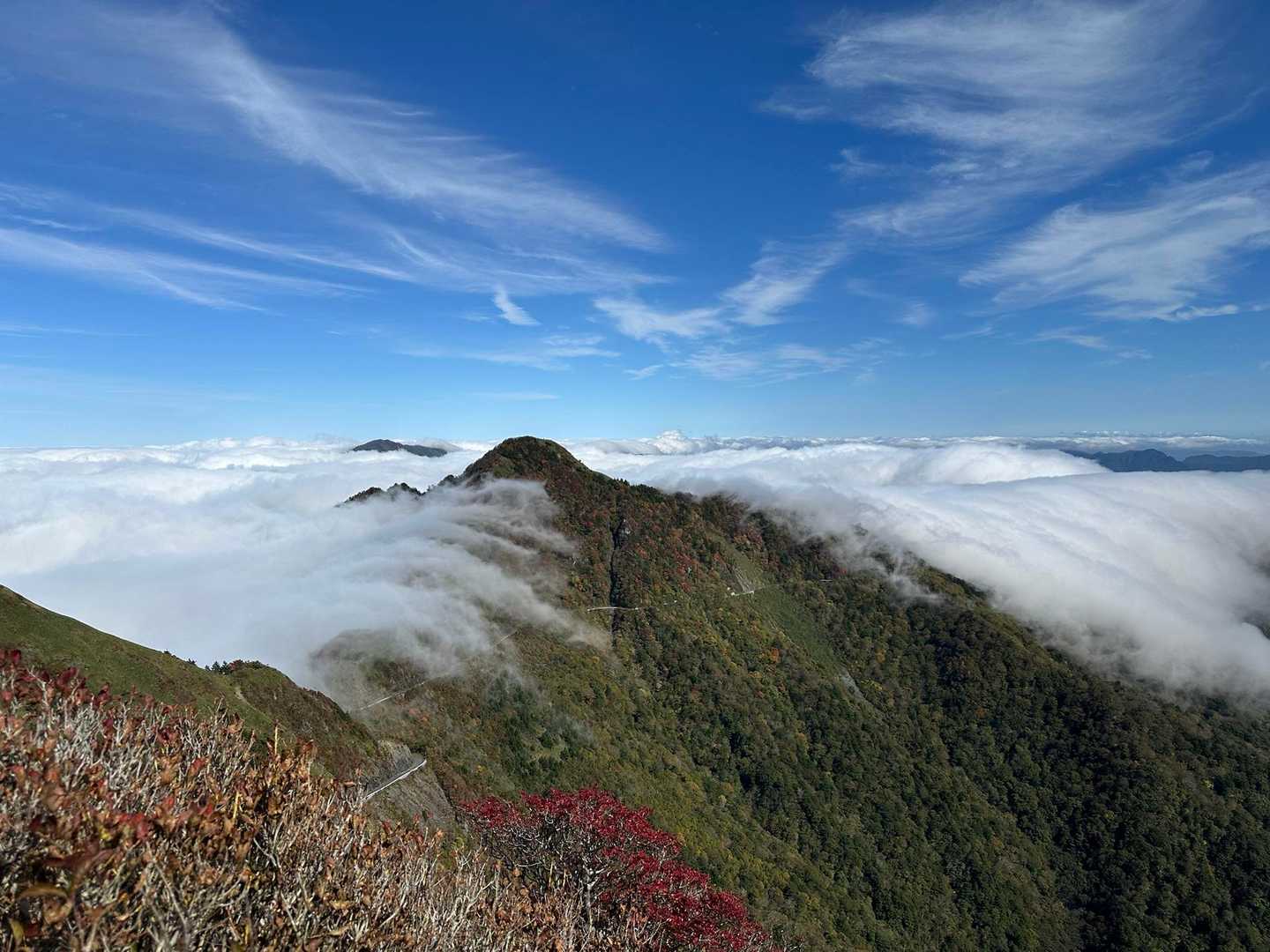 林道に覆い被さる雲