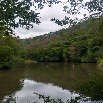 カワウソ池