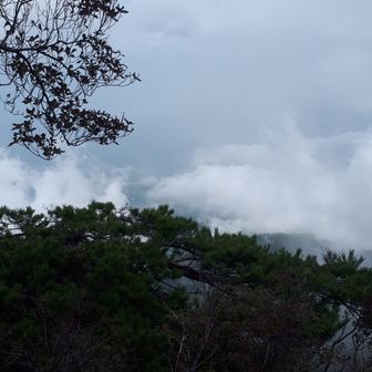 お昼にしながら展望を期待しますが、