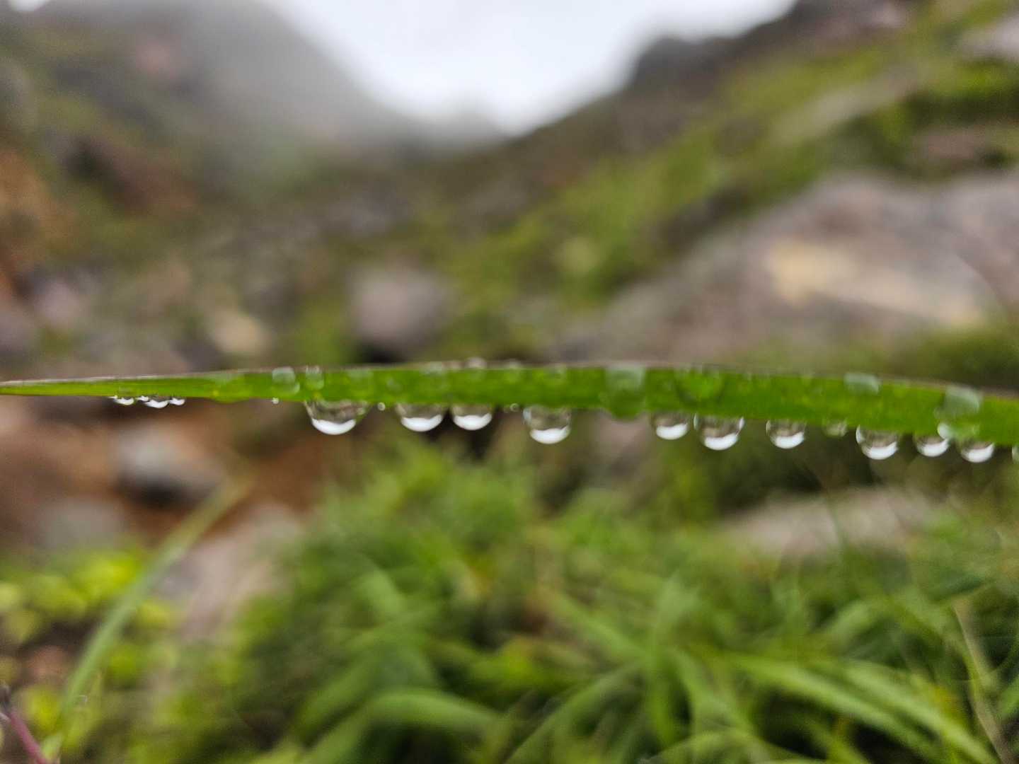 しずく💧