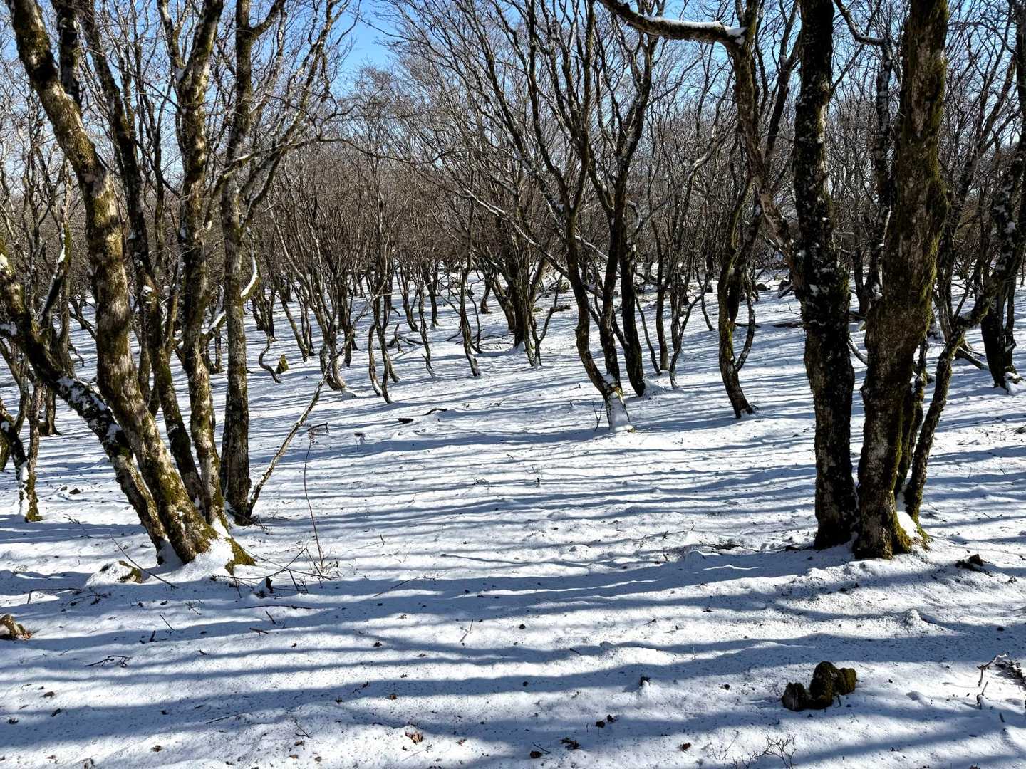 もうすぐ雪山のシーズン