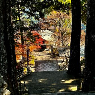 階段の下を覗くとロープウェイの駅が