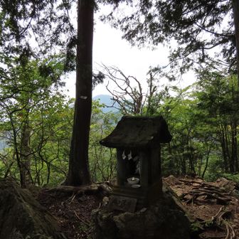 奥の院峰と後ろには今月始めに登った大岳山。
ここで休憩していると、ここが大岳山頂と勘違いして上半身裸でスニーカーの男子高校3年生5,6人のパーティがやって来た。違うよ、あれだよと教えてあげると、彼らも休憩後に大岳山の方へ向かって行った。
無事に戻れたか気になるが、まぁ大丈夫かな。もう一度やり直すのも嫌だけど、若いっていいな、とちょっと羨ましい気持ちになった。