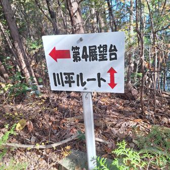 第4展望台へ
展望…　第５展望台に期待