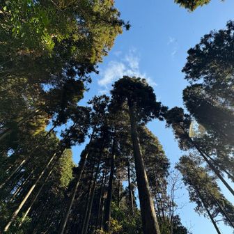 青空が清々しい